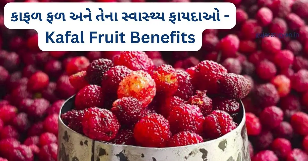 કાફળ ખાવાના ફાયદા (Health benefits of eating Kafal)